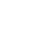 Sandon Global